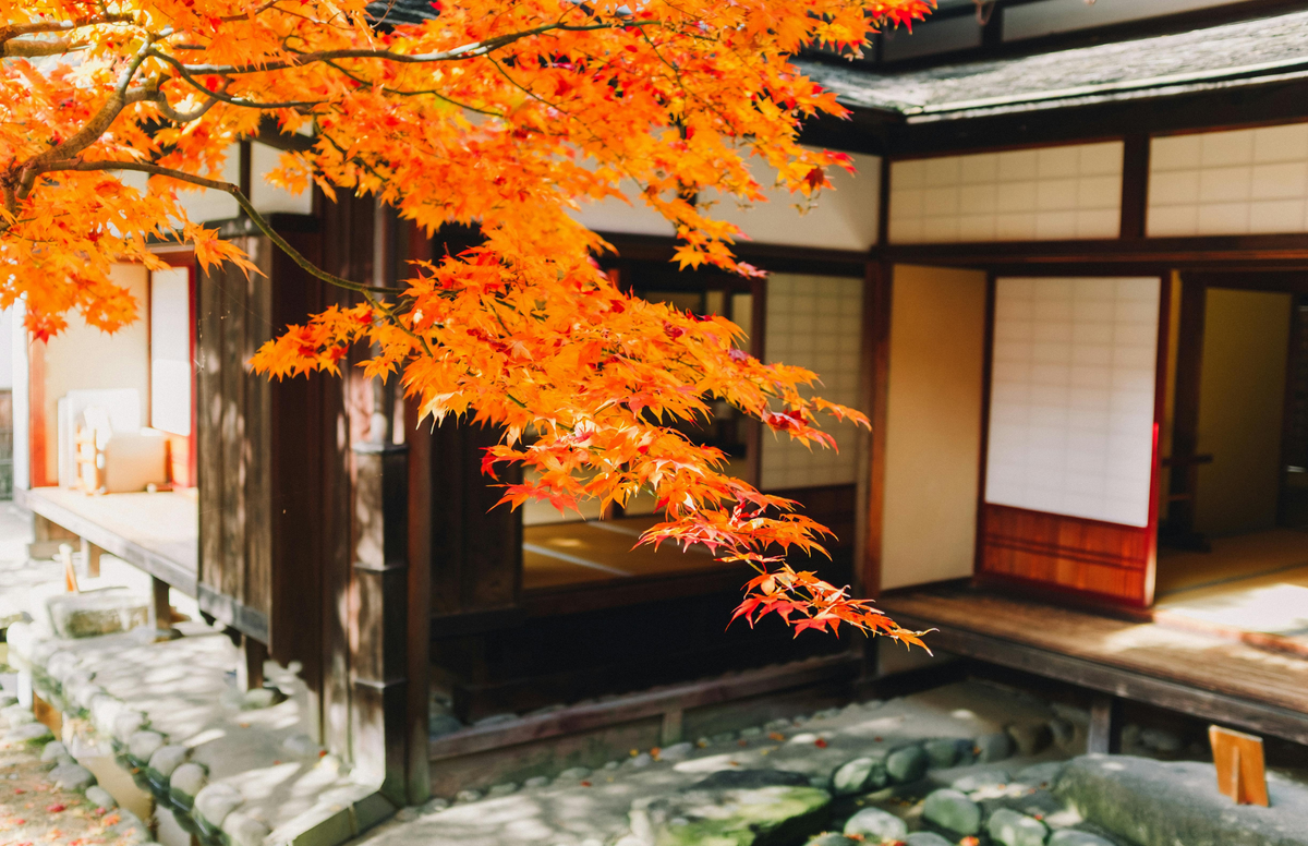 Japanese Head Spa YUME Global Certification Course | Osaka Japan 2027 | 3 Days Masterclass
