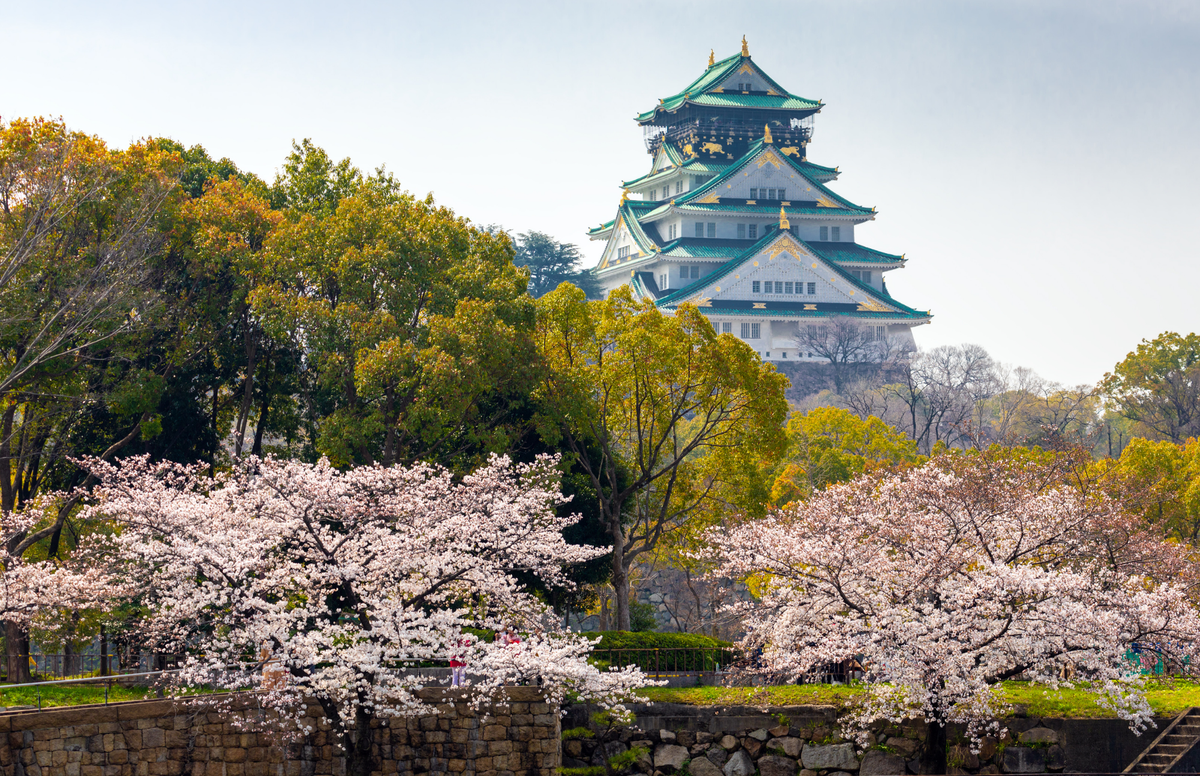 Japanese Head Spa YUME Global Certification Course | Osaka Japan 2027 | 3 Days Masterclass