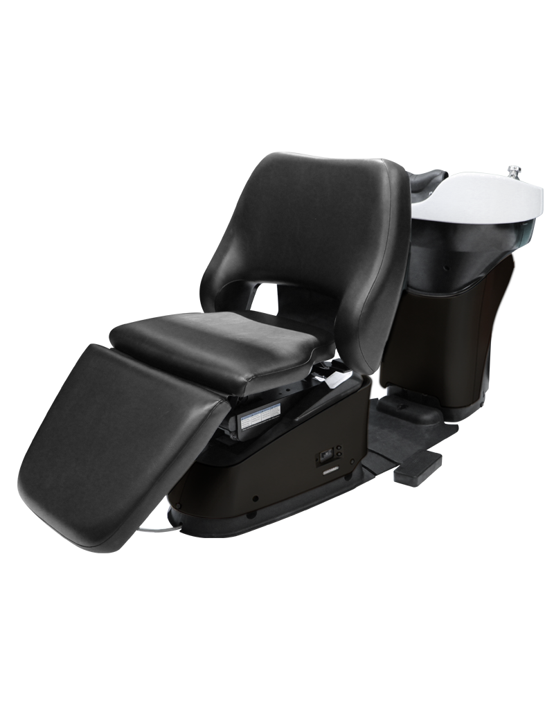 shampoo bowl and chair