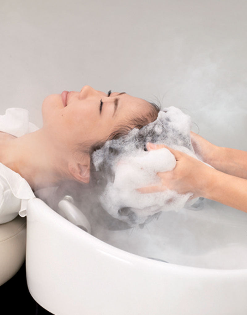 TAKARA BELMONT Spa Mist II Processor